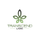 Transcend Labs Logo